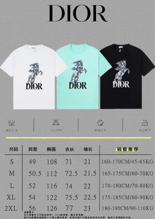 Dior T Shirts Short _SKUDiorS-2XLxetr29315905